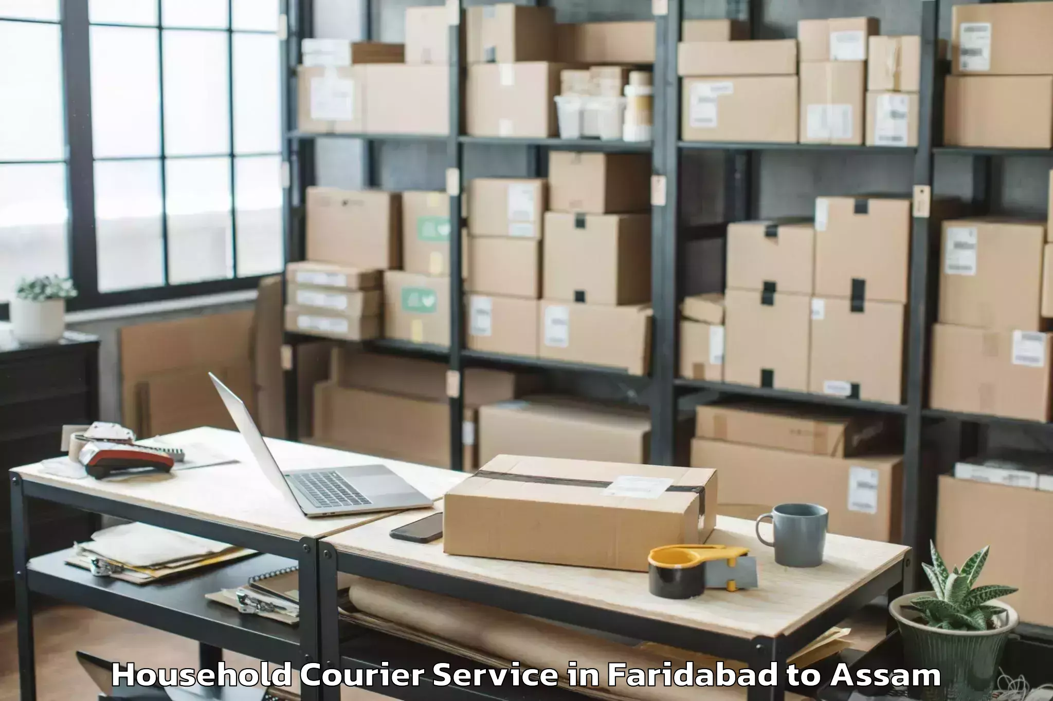 Top Faridabad to Silchar Airport Ixs Household Courier Available